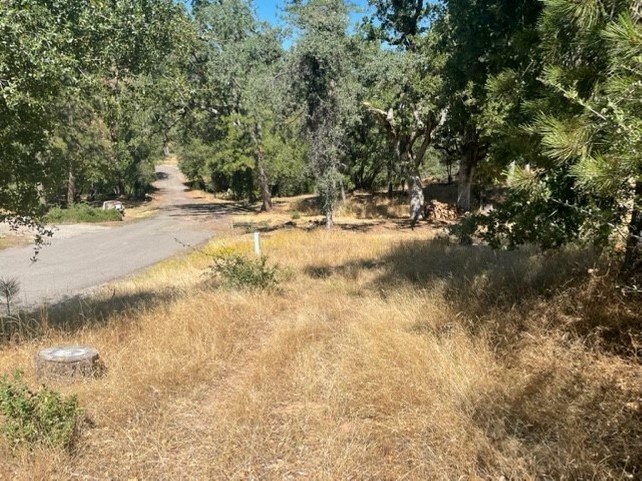 Property Photo:  0 Lot 2 Peckinpah Acres Drive  CA 93643 