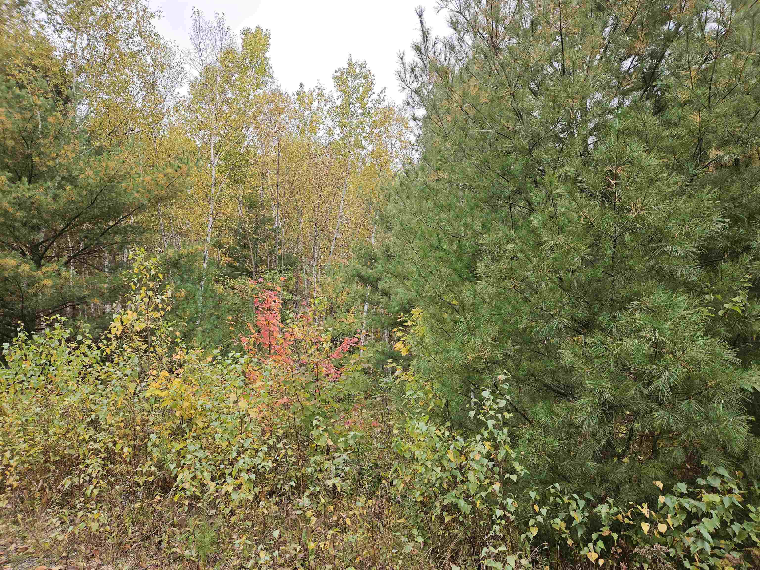 Property Photo:  Lot 13 Cannon View Drive  NH 03586 