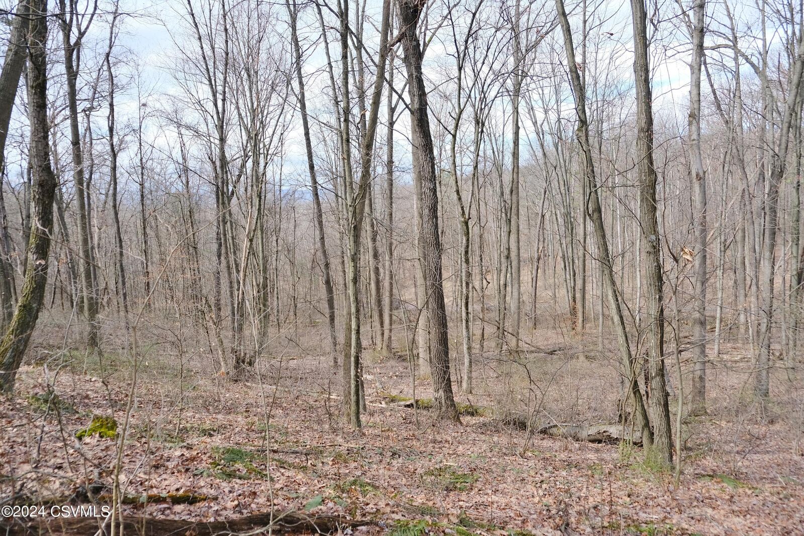 Property Photo:  530 Tall Oak Lane  PA 17837 