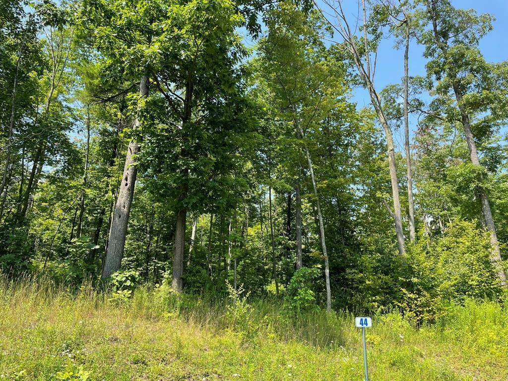 Property Photo:  Lot 44 Hemlock Hills Rd  PA 18848 