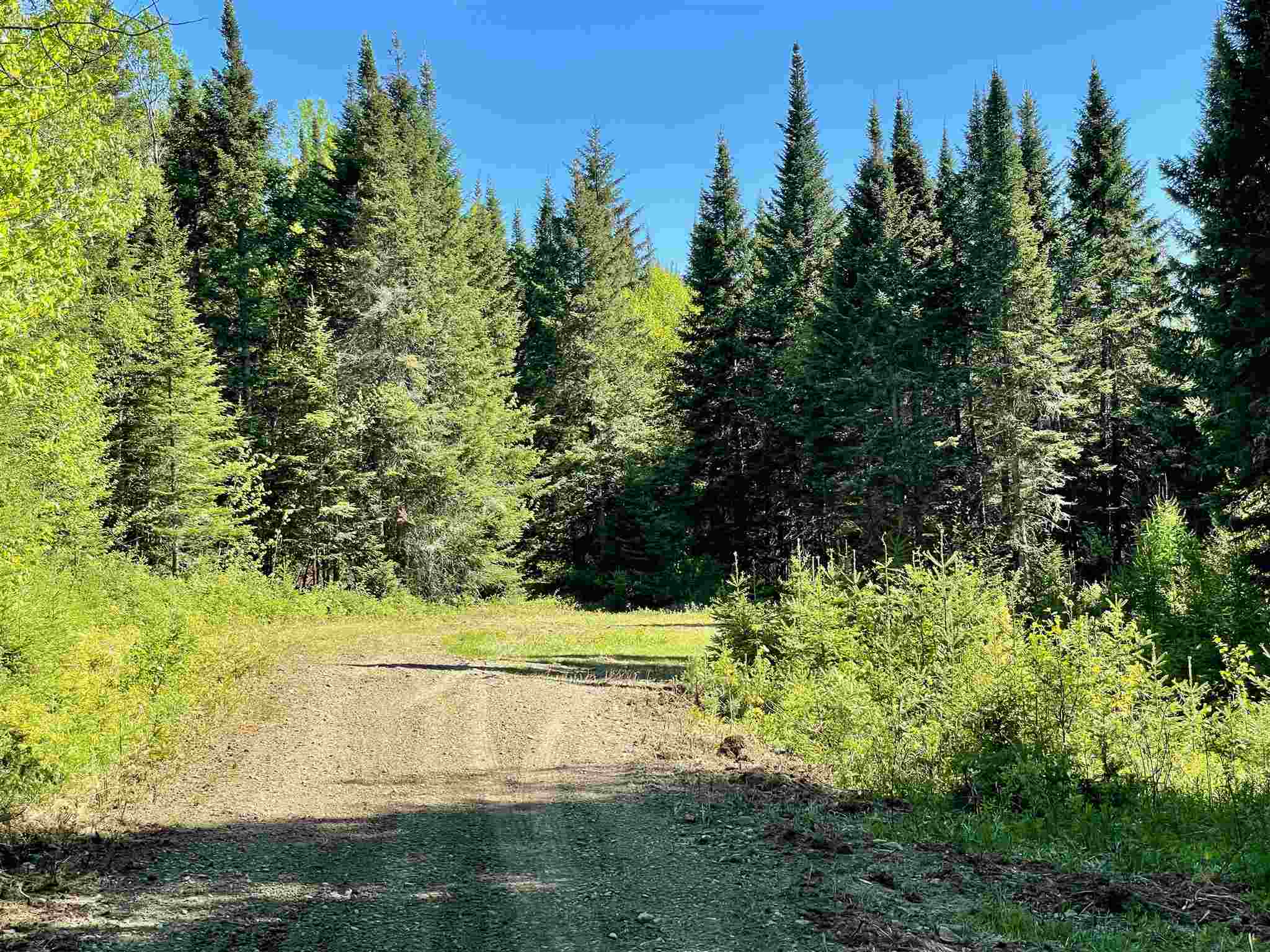 Property Photo: C5-56N-5 Ivan Drive NH 03592