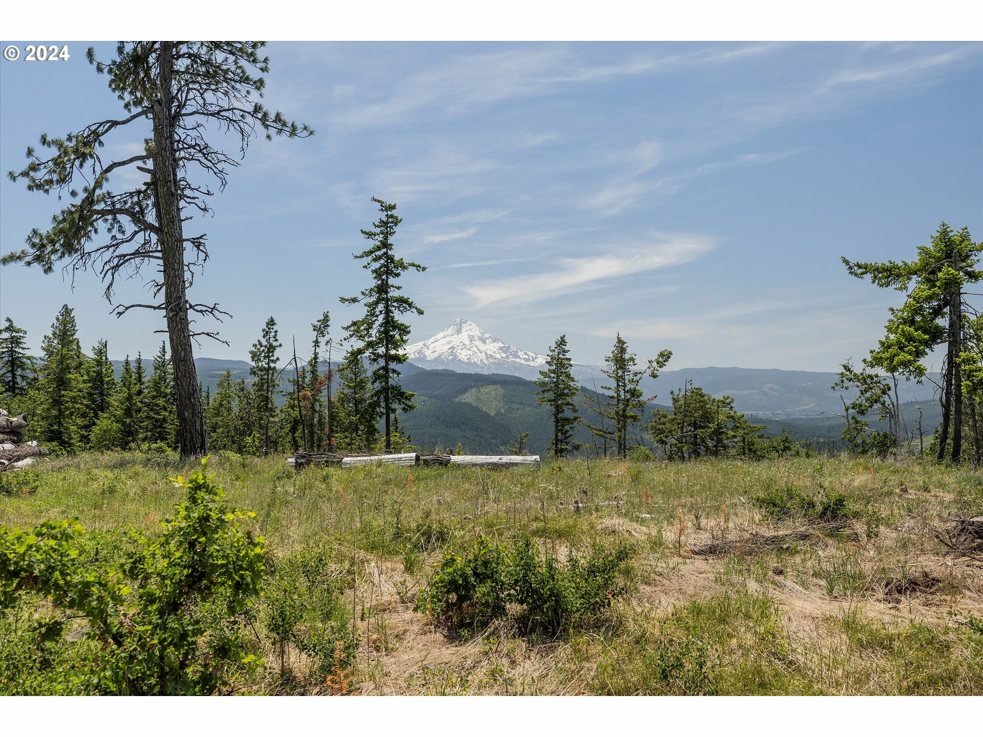 Property Photo:  Fir Mountain Rd  OR 97031 