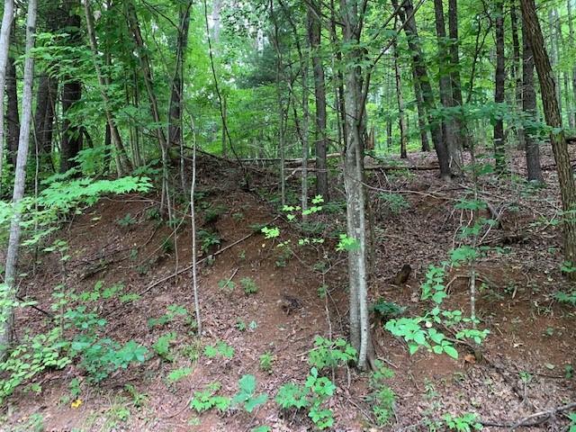 Property Photo:  Lot 49-50 McKenzie Way S  NC 28762 