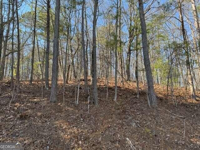 Property Photo: 0 Dover Circle GA 30734