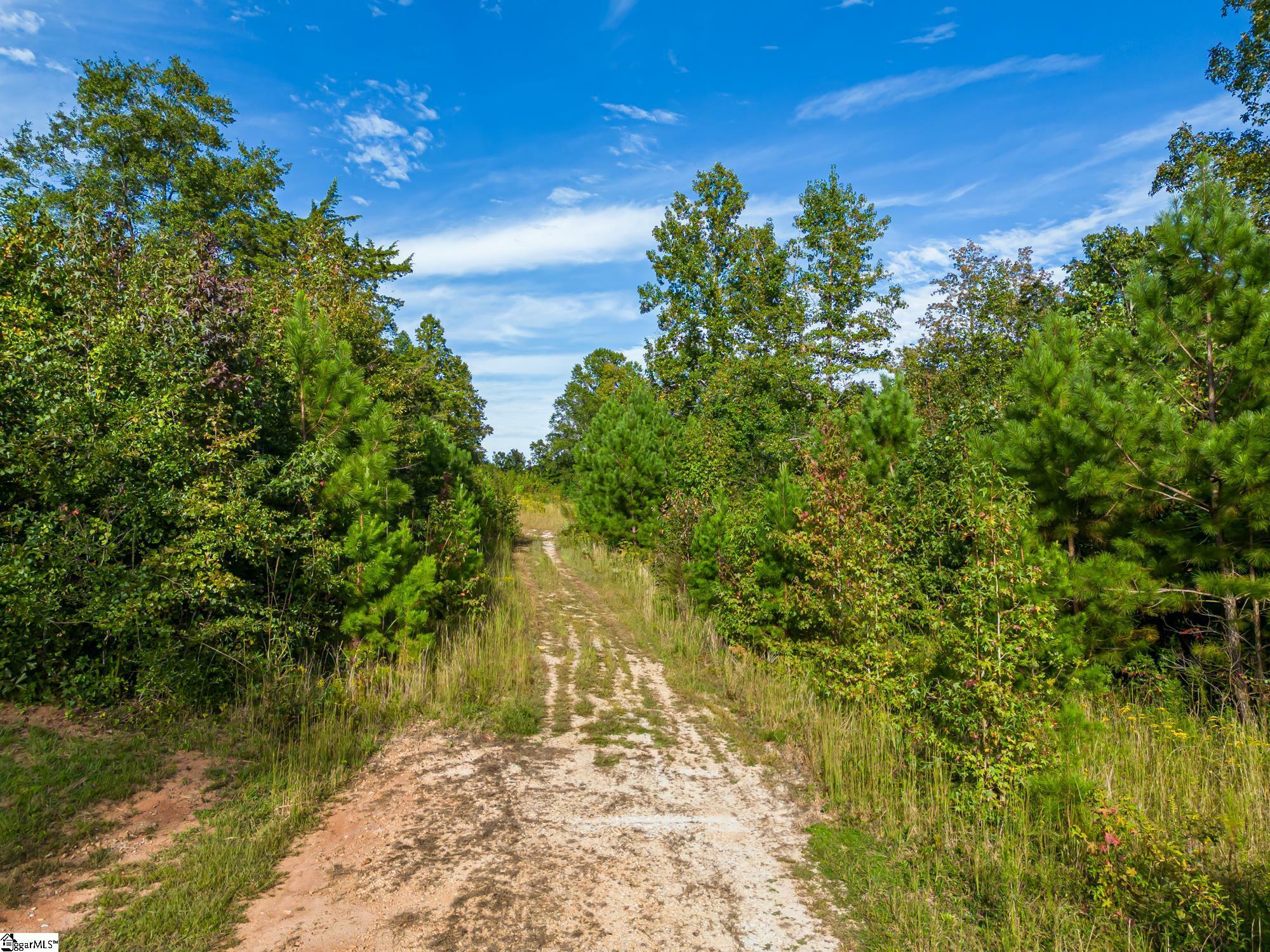 Property Photo:  00 S Lakeview Drive  SC 29643 