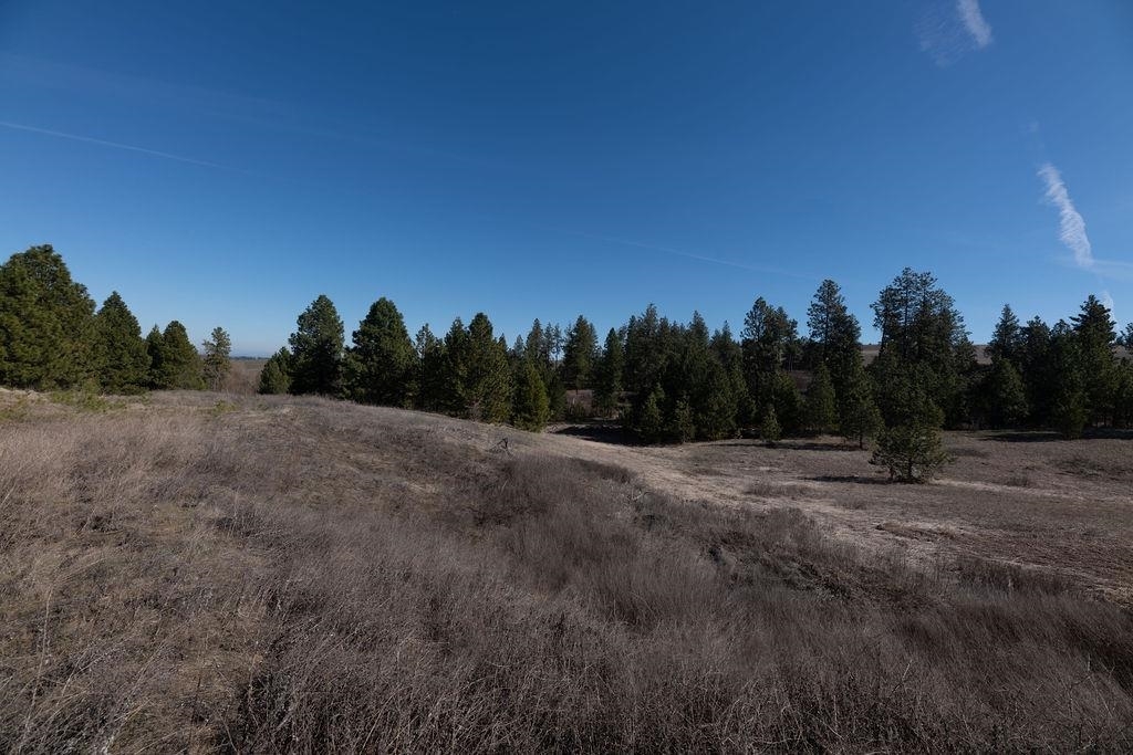 Property Photo:  Xx Vacant Land Lot 16 Orchard Heights Rd  WA 99004 