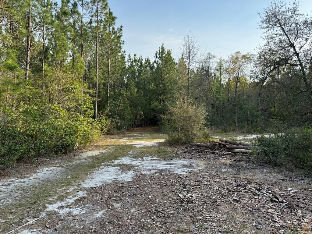 Property Photo: 1139 Henry Walcott Road GA 31316