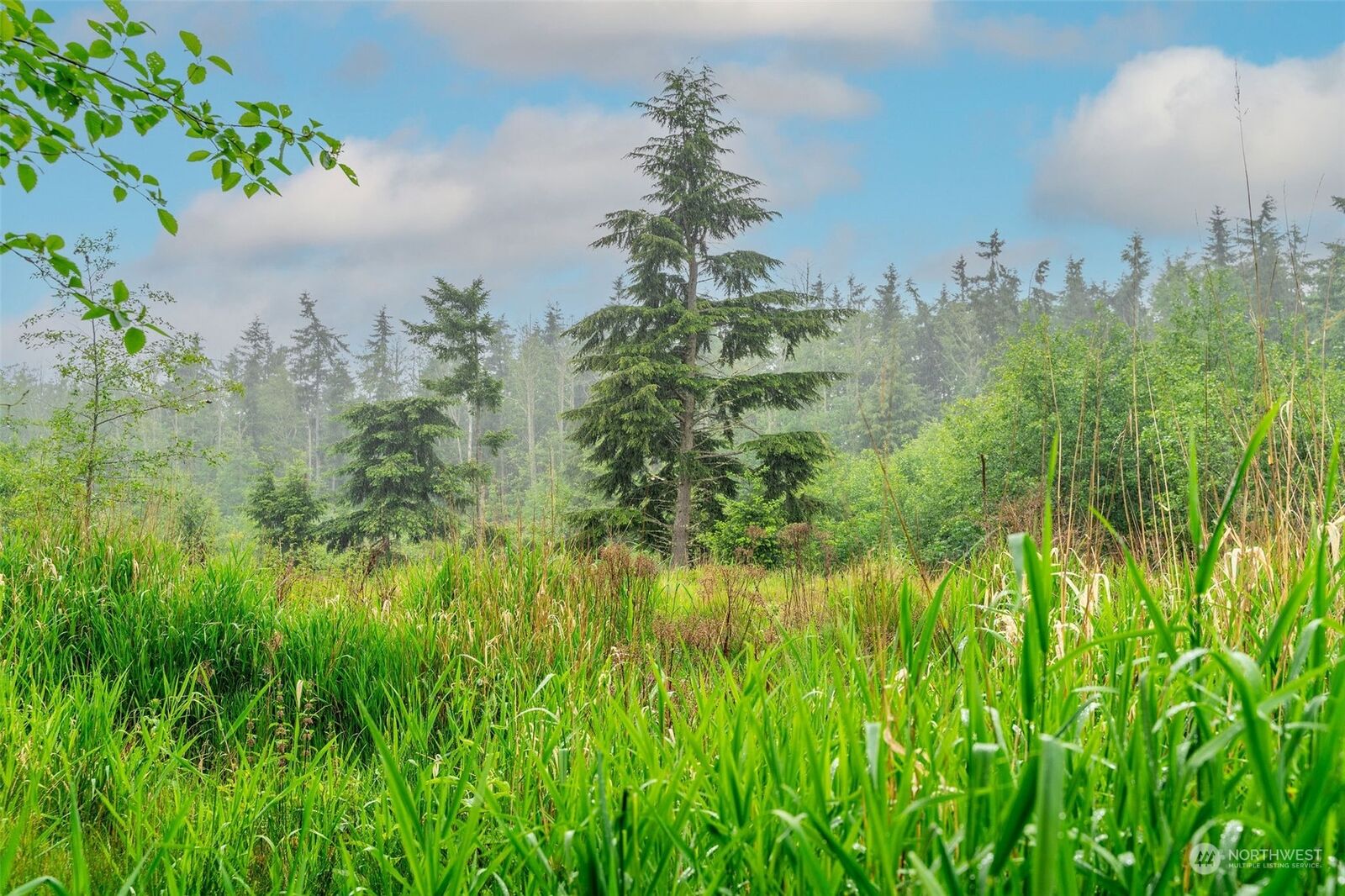 Property Photo: 28766 State Route 525 WA 98239