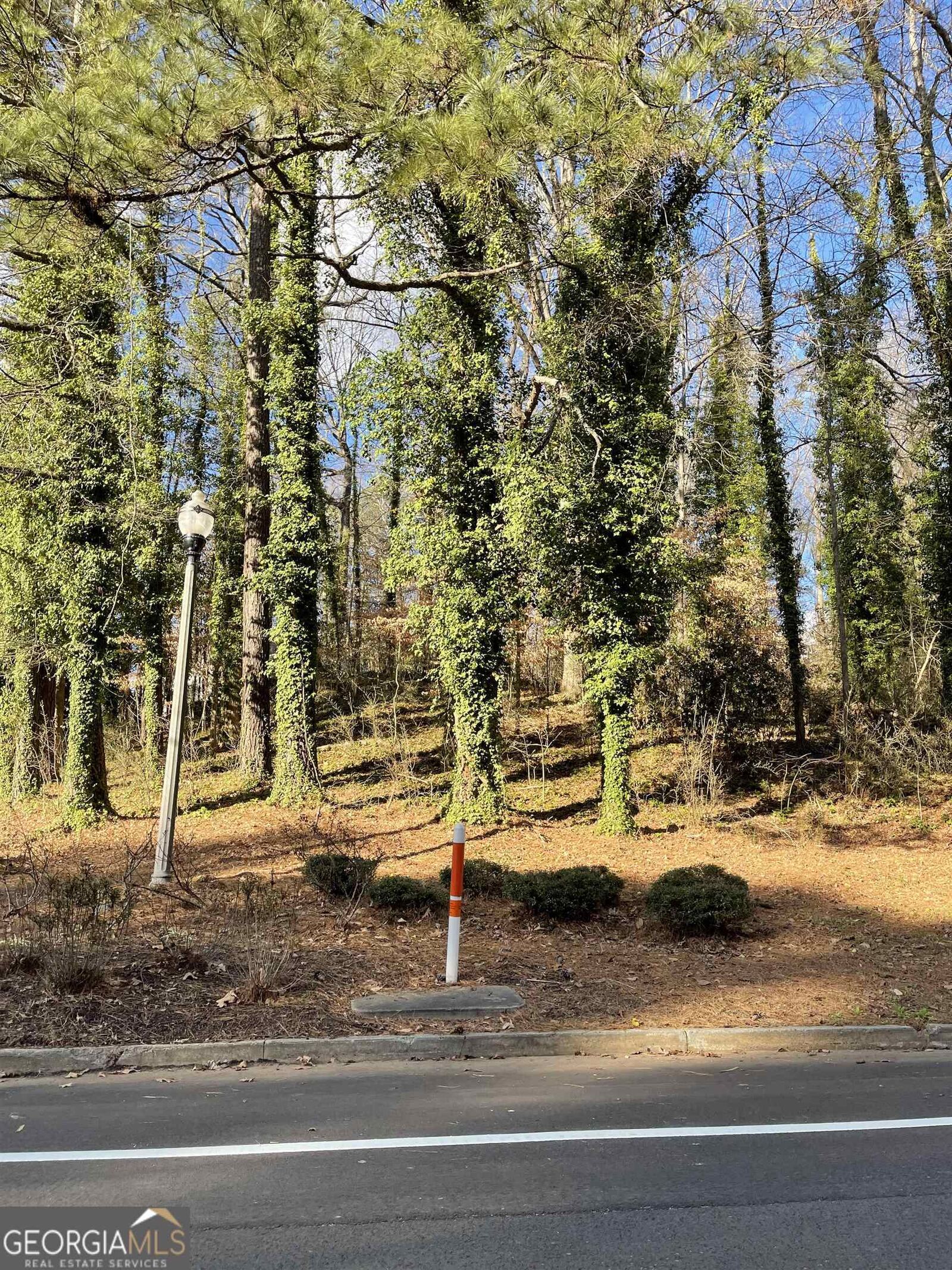 Property Photo: 0 Lakeshore Drive GA 30337