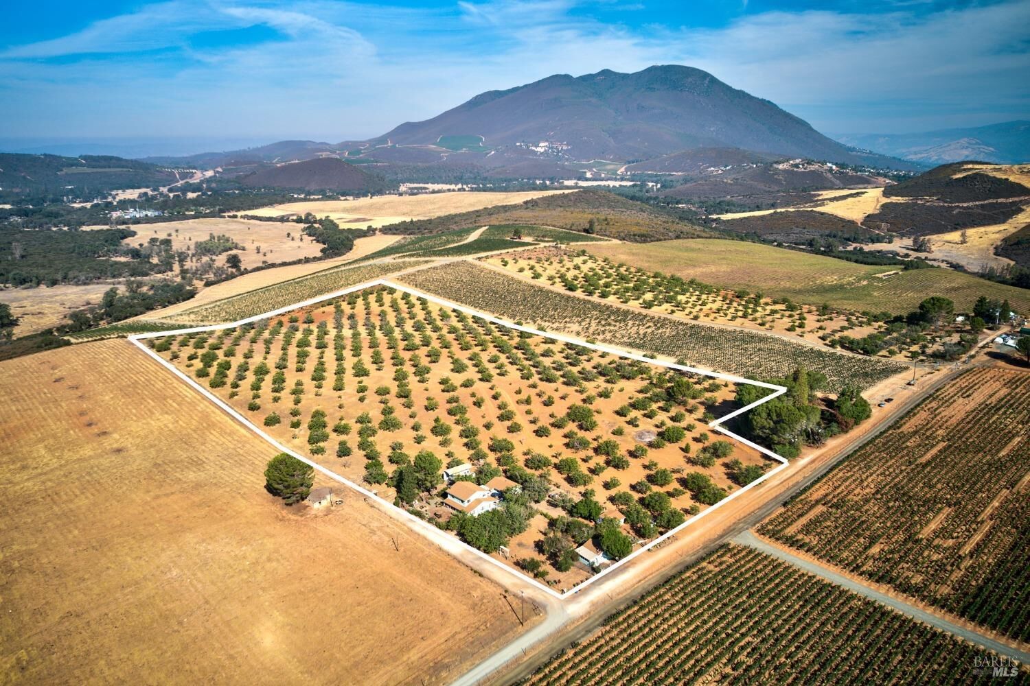 Property Photo:  8084 Highway 29  CA 95451 