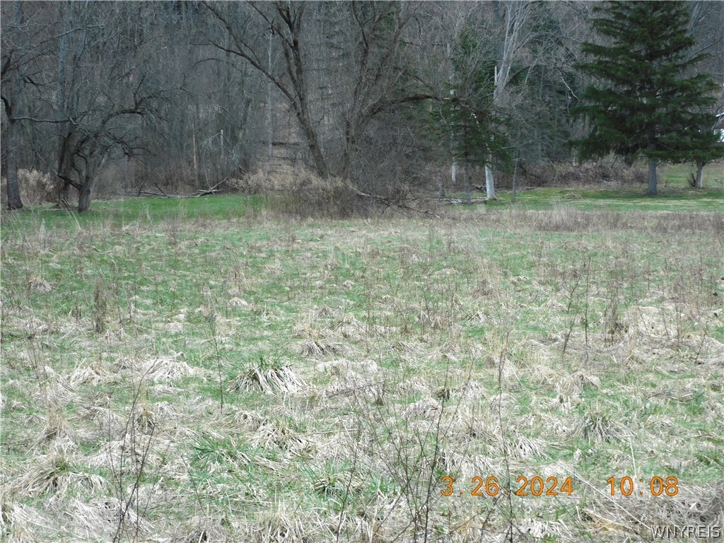 Property Photo: Vl State Road NY 14025