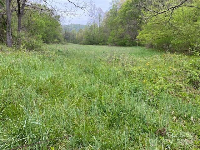 Property Photo: 547 Long Branch Road Tract 2 NC 28753