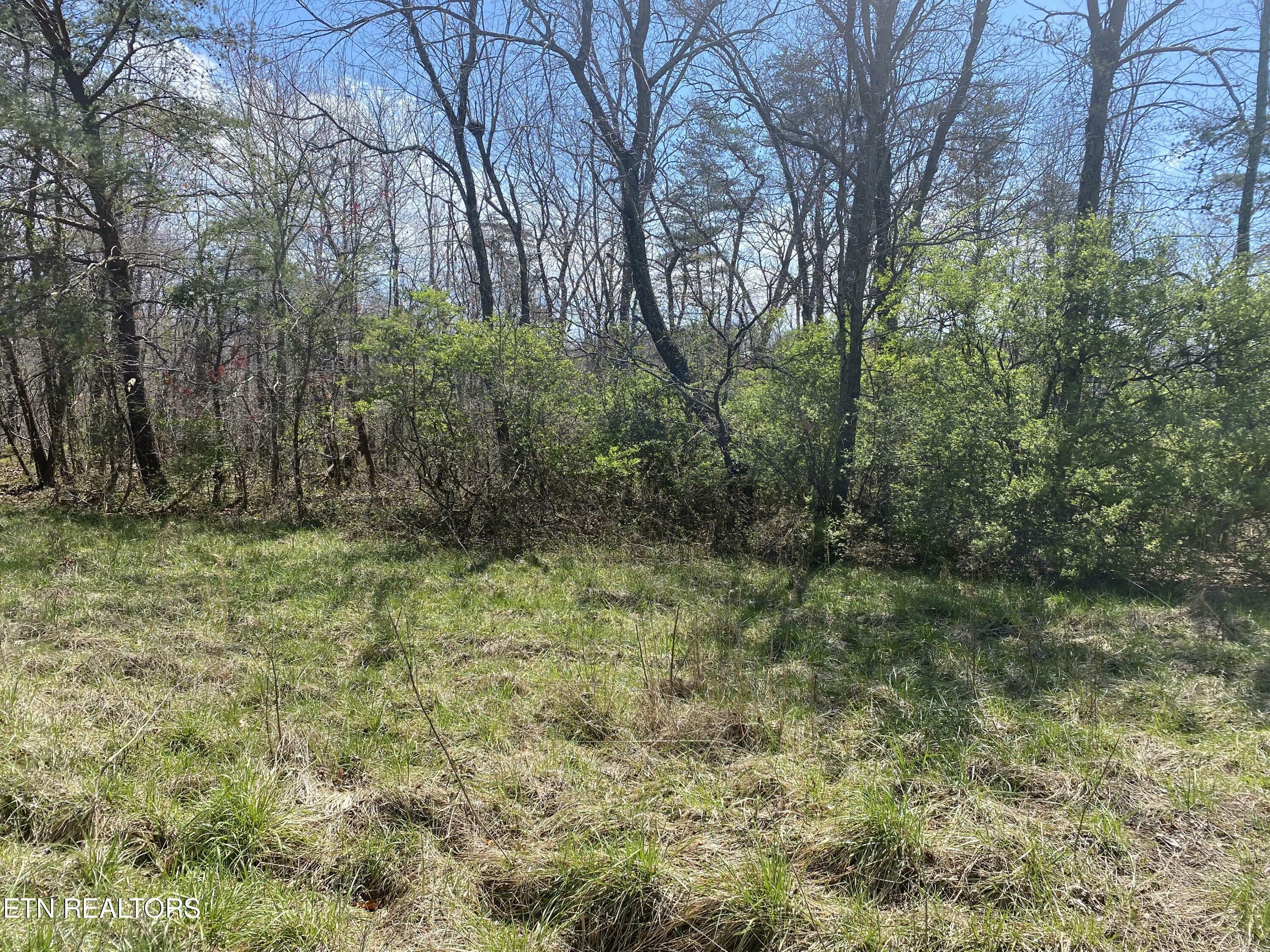 Property Photo:  # 8 Hwy 127 North  TN 38555 