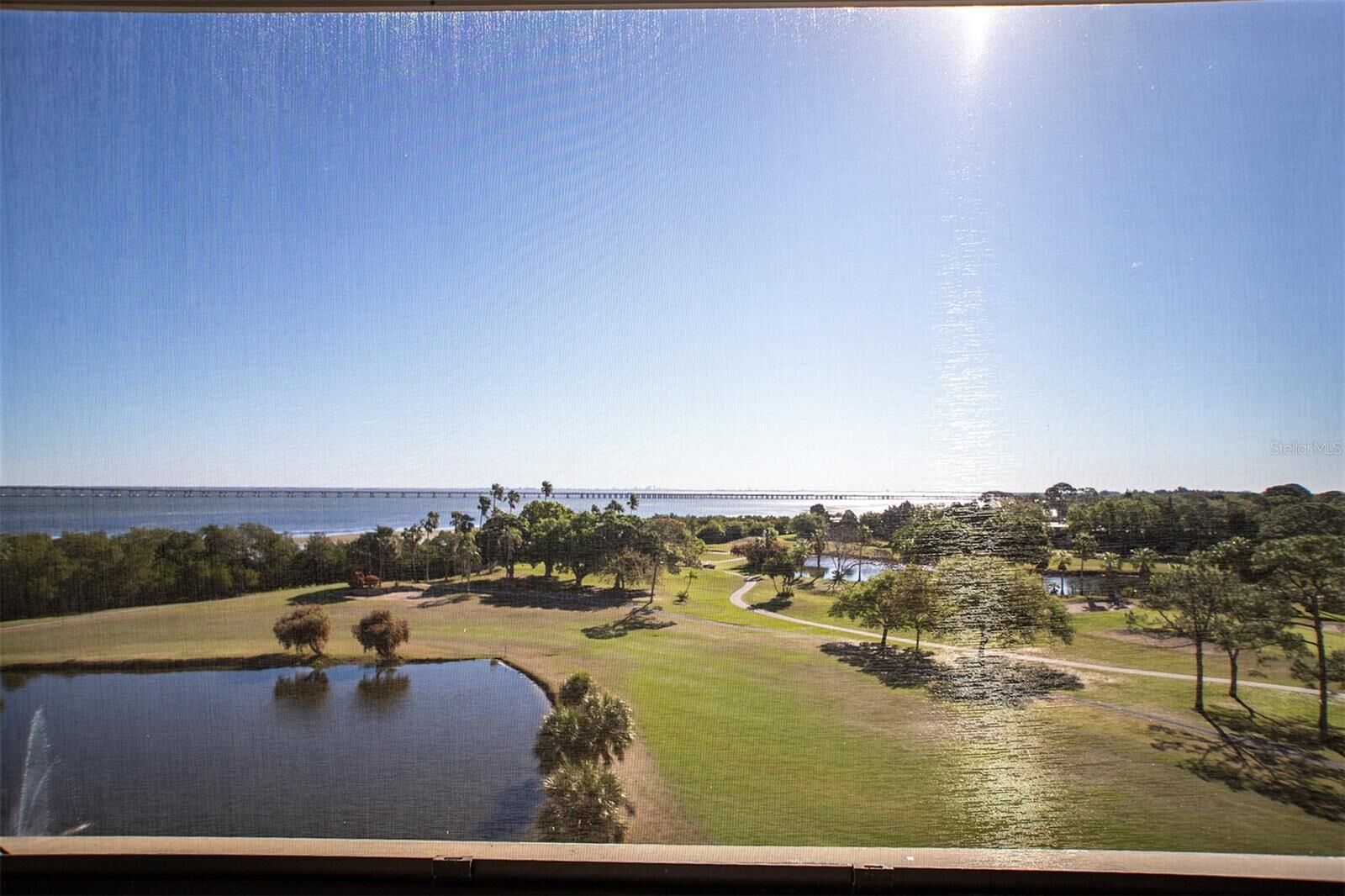 Property Photo: 2620 Cove Cay Drive 703 FL 33760