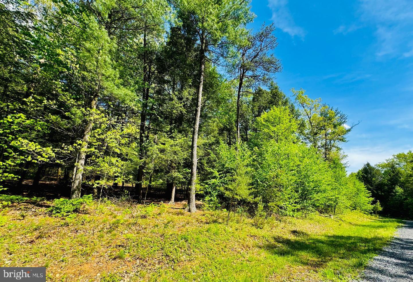Property Photo: Lot 11 Paradise Point PA 16657