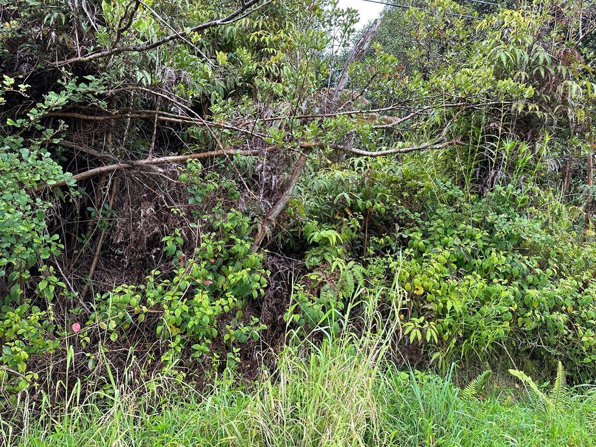 Property Photo:  Hilohilo St  HI 96785 