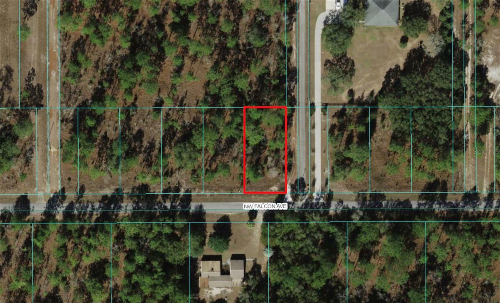 Property Photo:  0 NW Falcon Avenue Lot 25  FL 34431 