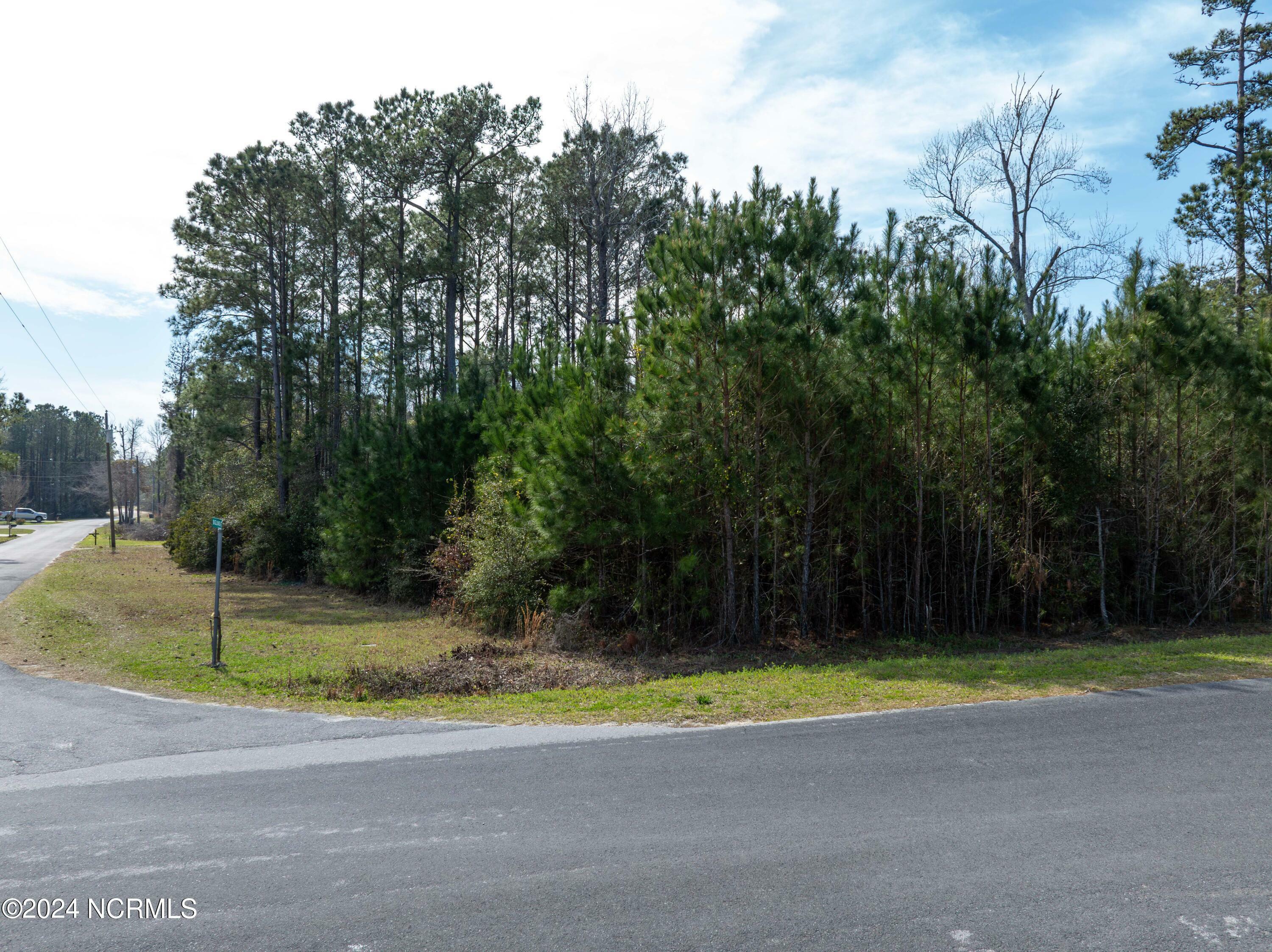 Property Photo:  Tbd Bill Canady Road  NC 28460 