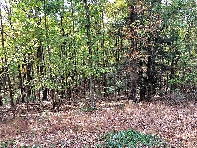 Lot 298 Etowah Drive  Ellijay GA 30540 photo