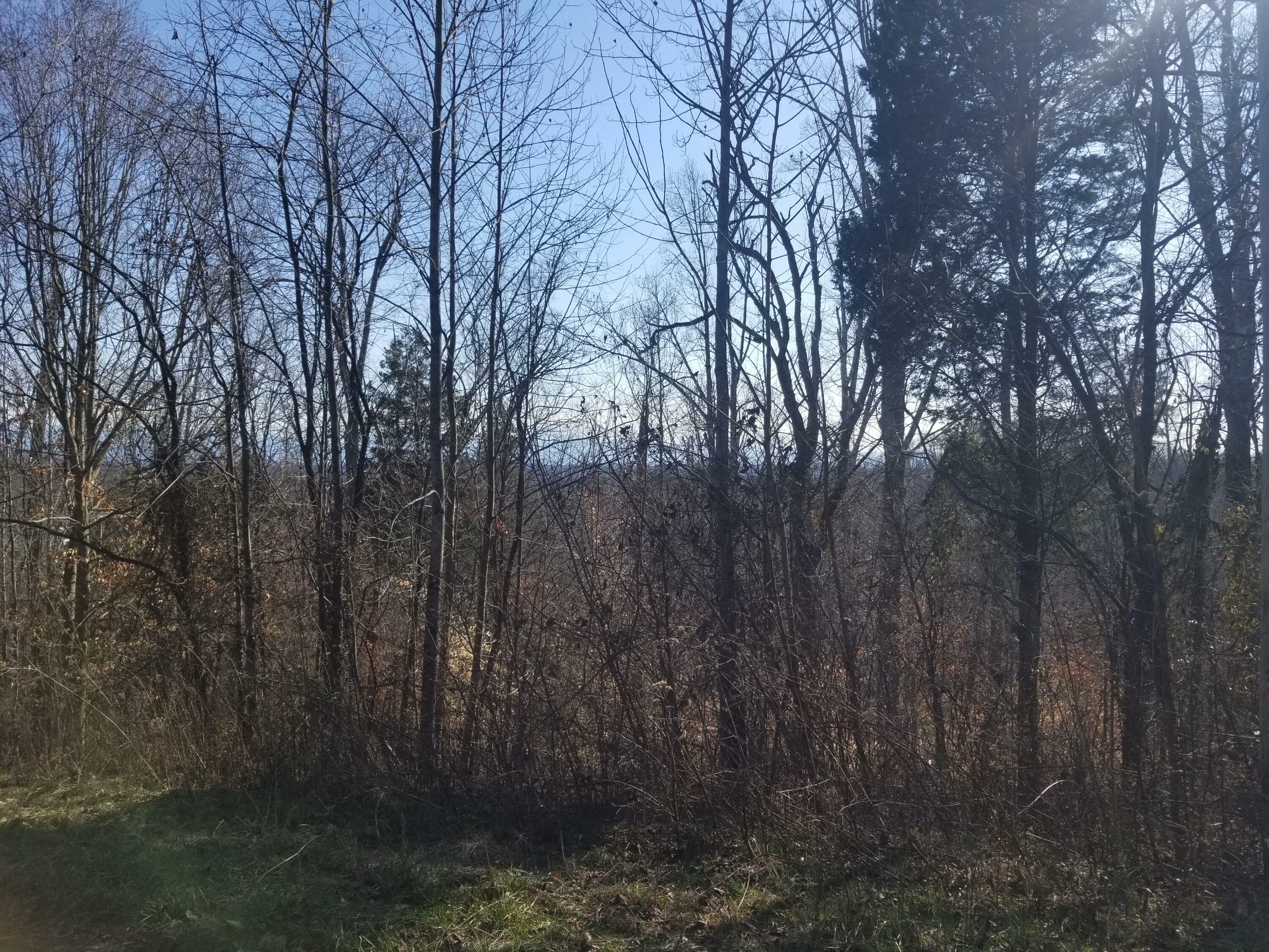 Property Photo:  Lot 12 Walk In The Trees Drive  TN 37820 