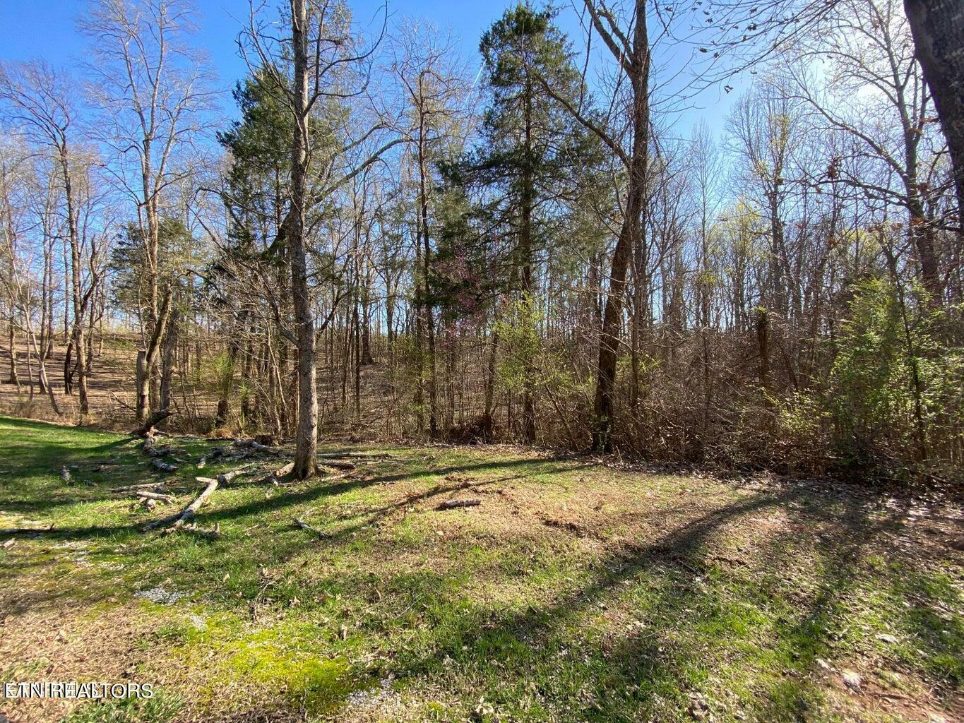 Property Photo:  Eagle Ridge Drive  TN 37854 