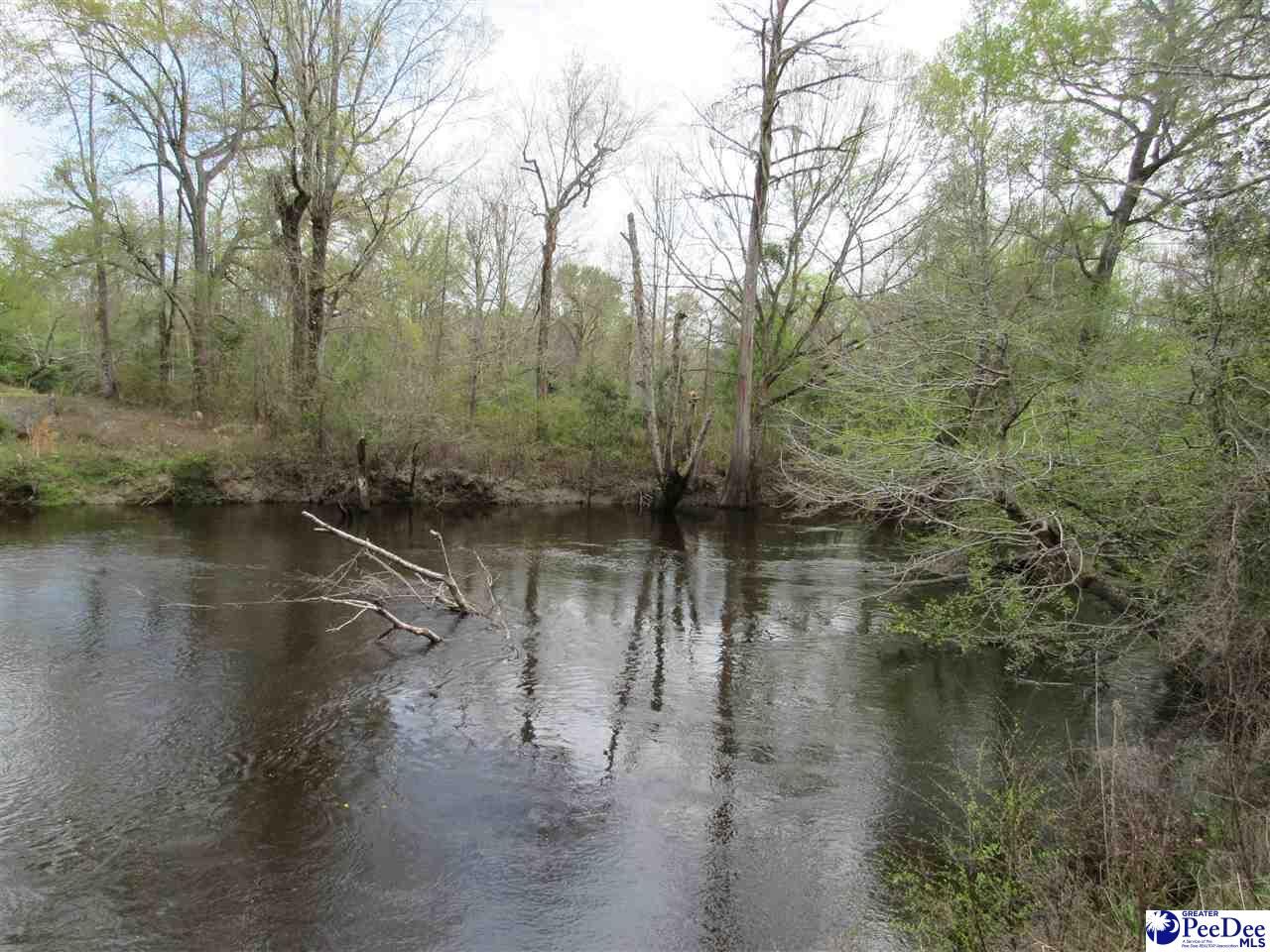 Property Photo: 6009 (31) Laurel Lane SC 29501