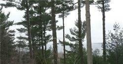 Property Photo:  Lot E21 Nippissing Ridge Rd  ON L9M 0H6 