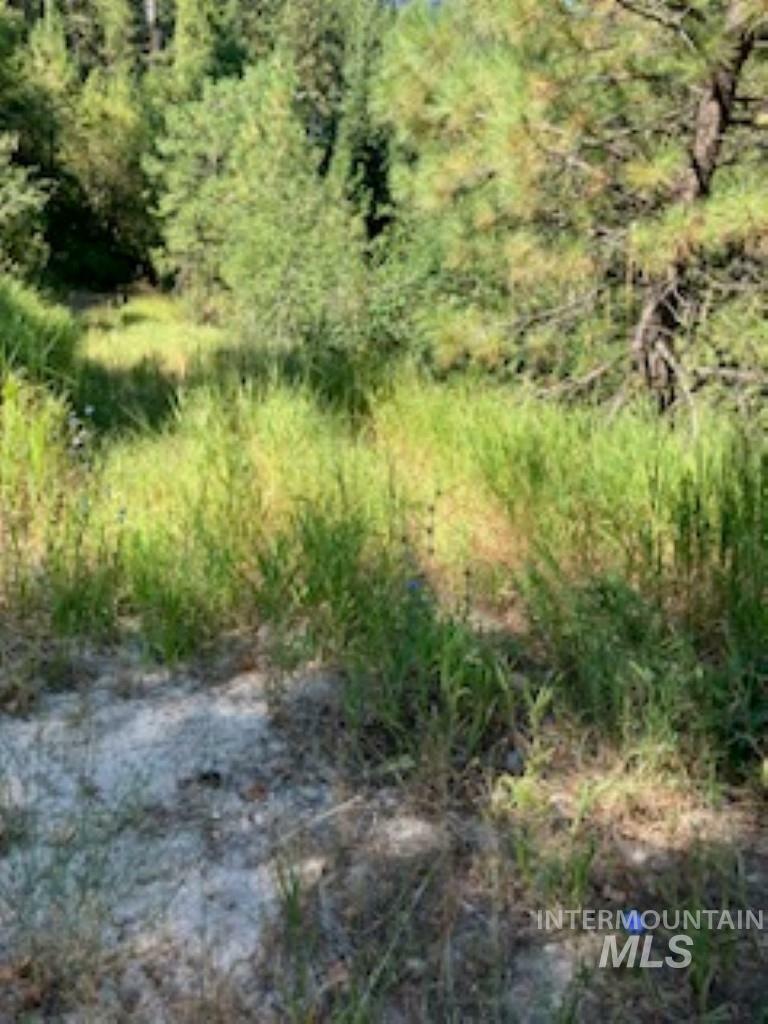 Property Photo:  Lots 35&Amp32 Castle Mtn Creek  ID 83622 