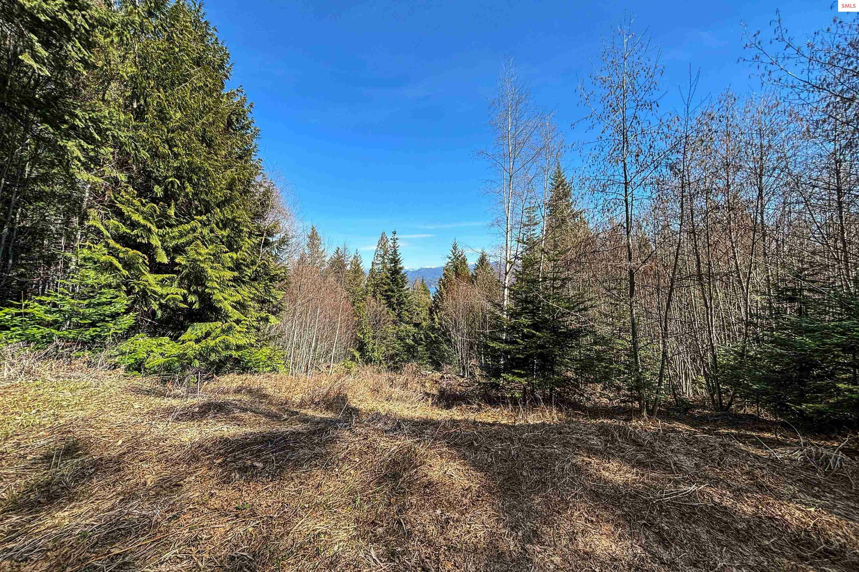 Property Photo:  Lot 4B Moonbeam Road  ID 83860 