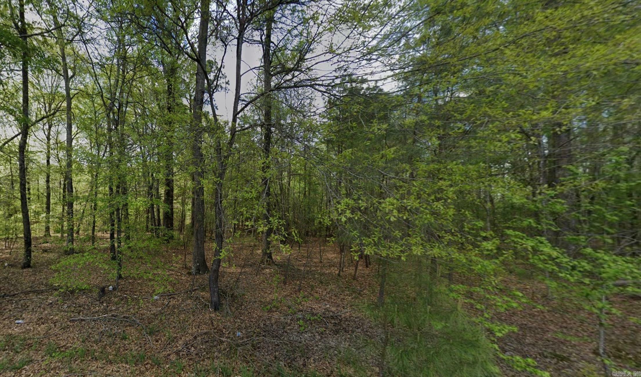 Property Photo: 000 Penn Loop AR 72065