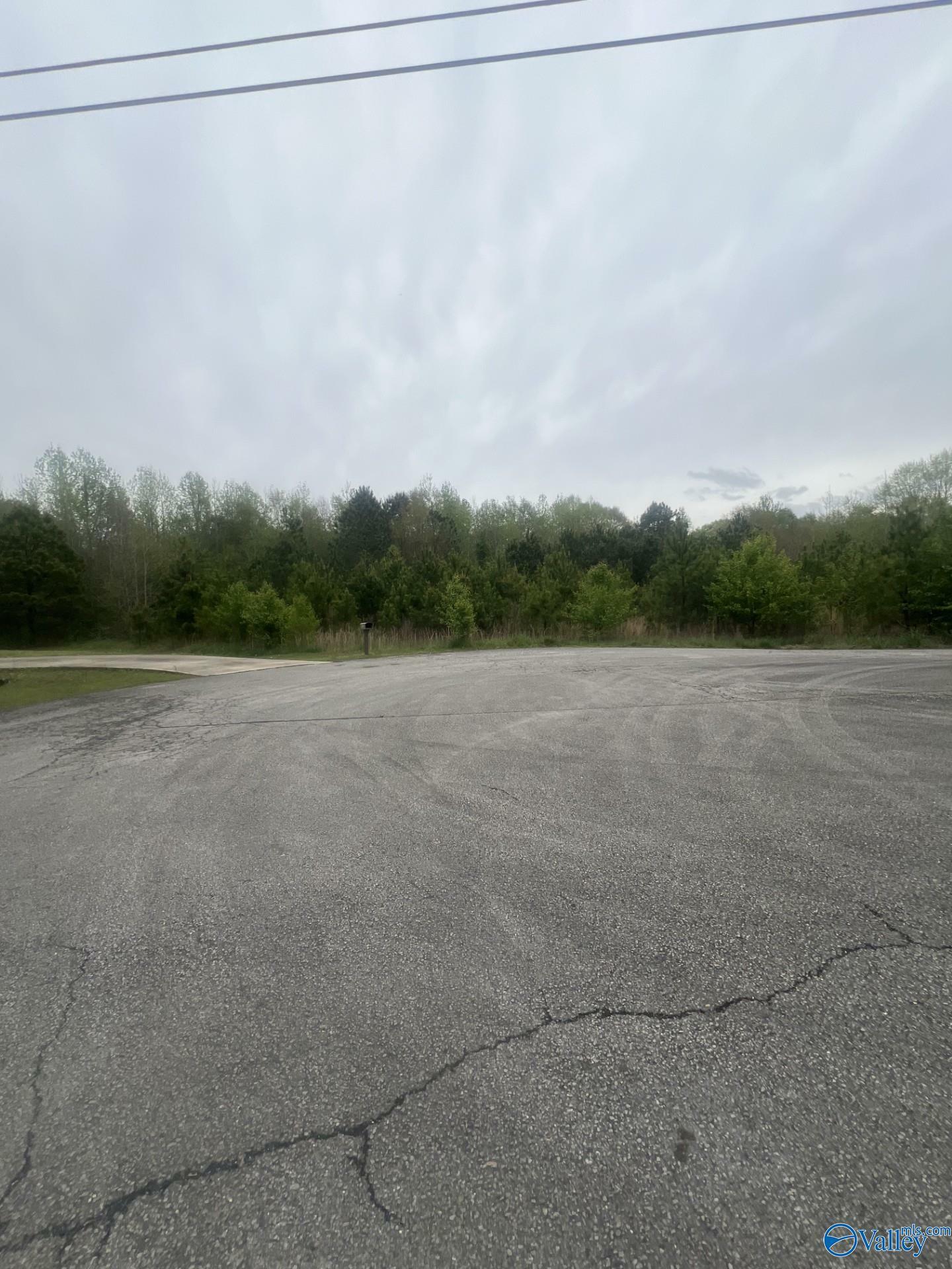 Property Photo:  Lot 12 Jennifer Lane  AL 35957 