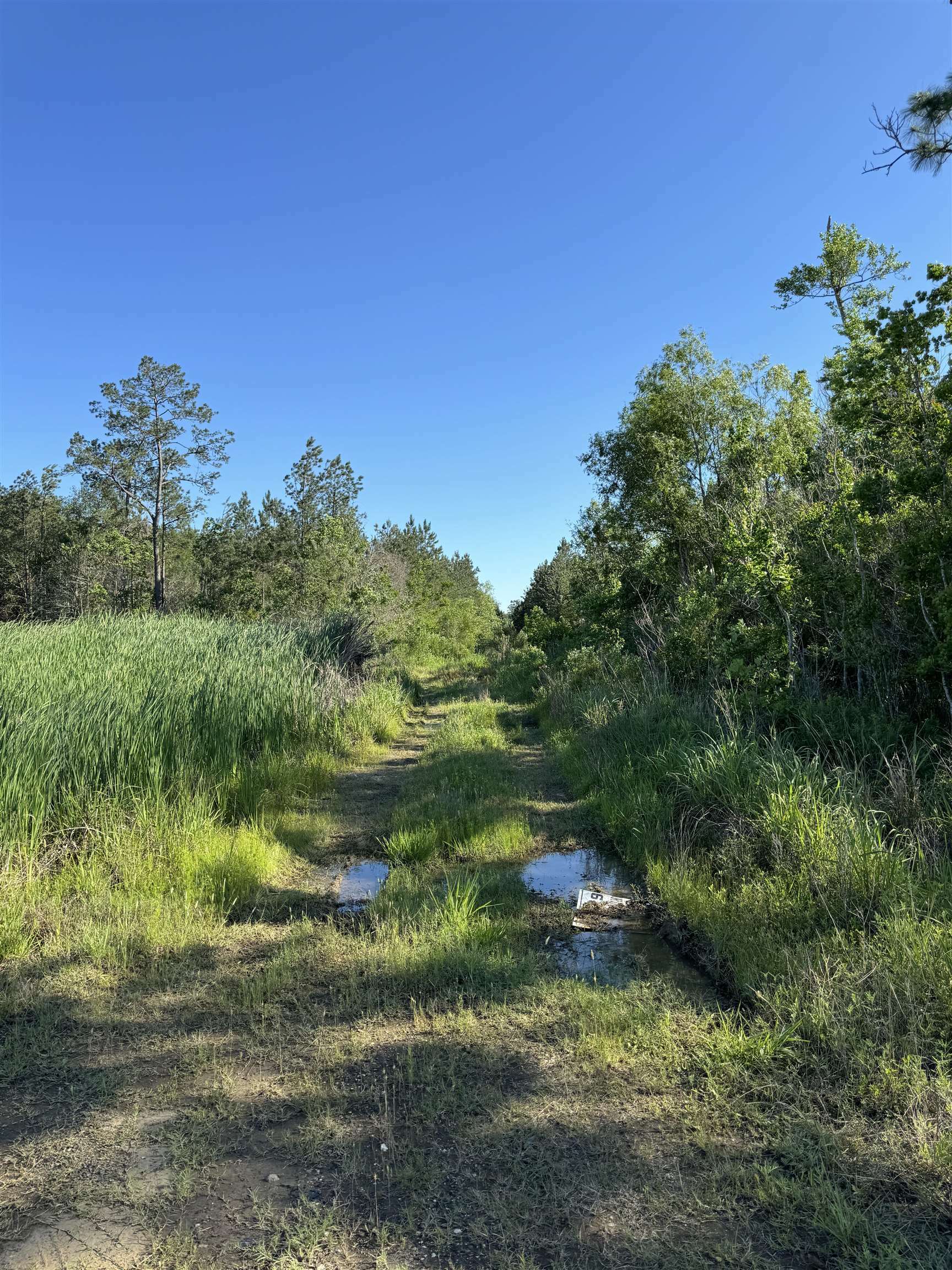 Property Photo:  Hwy 12  TX 77632 