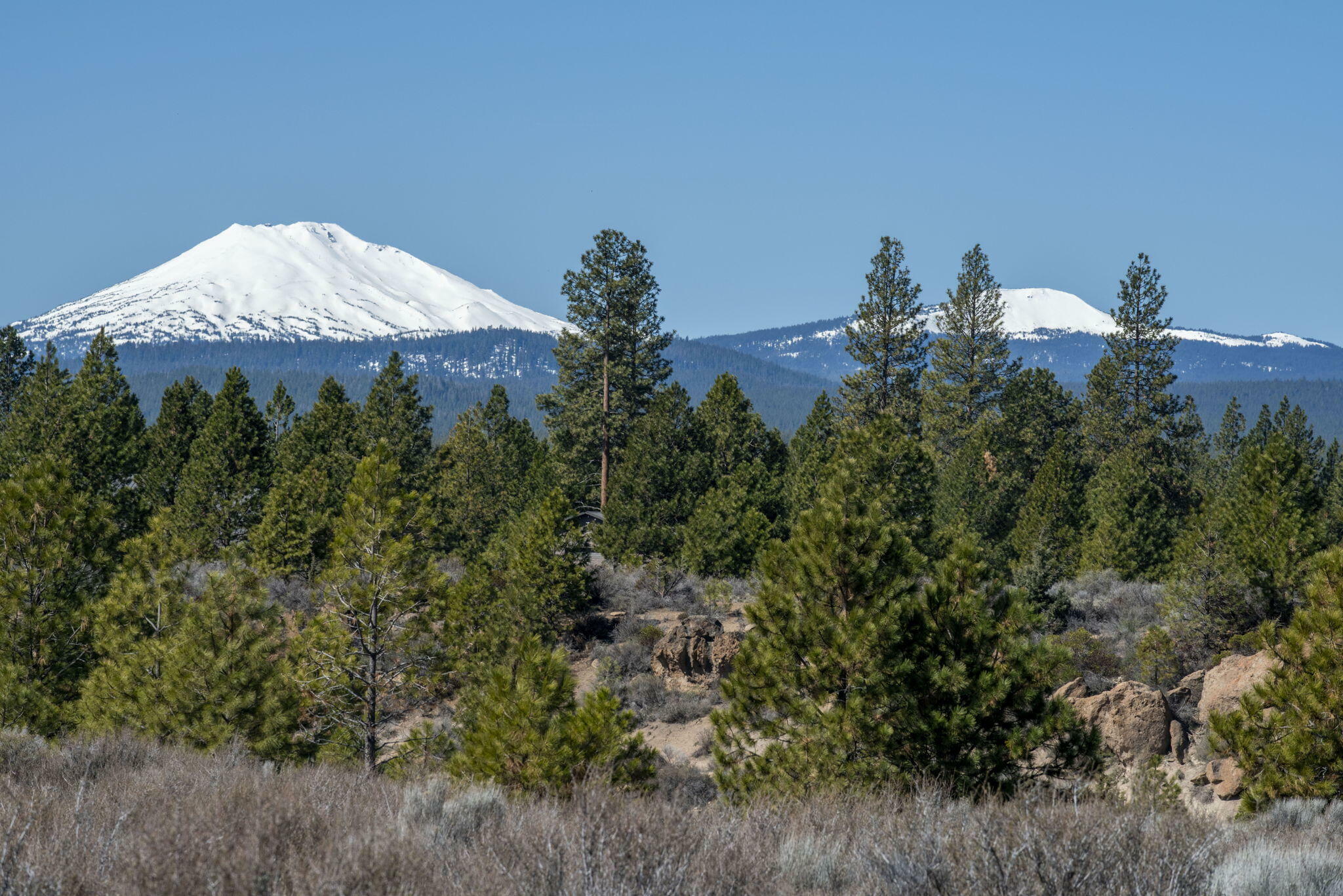 Property Photo:  19309 Buck Canyon Road  OR 97702 