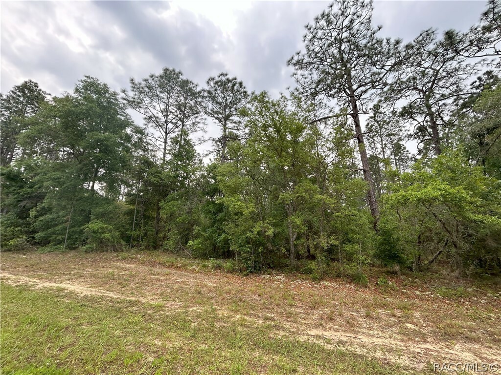 Property Photo:  1594 W Donner Drive  FL 34434 