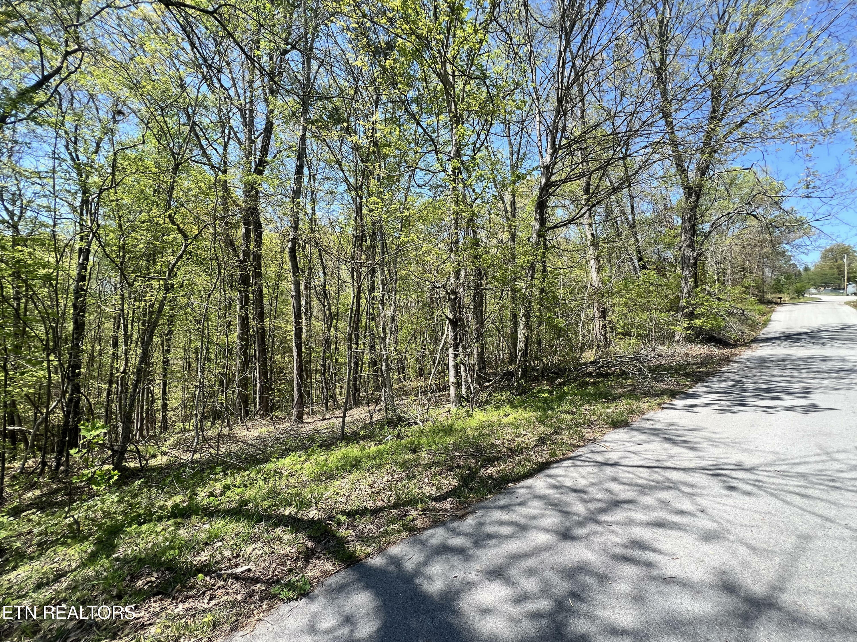 Property Photo:  235 Clear Springs Rd  TN 37748 