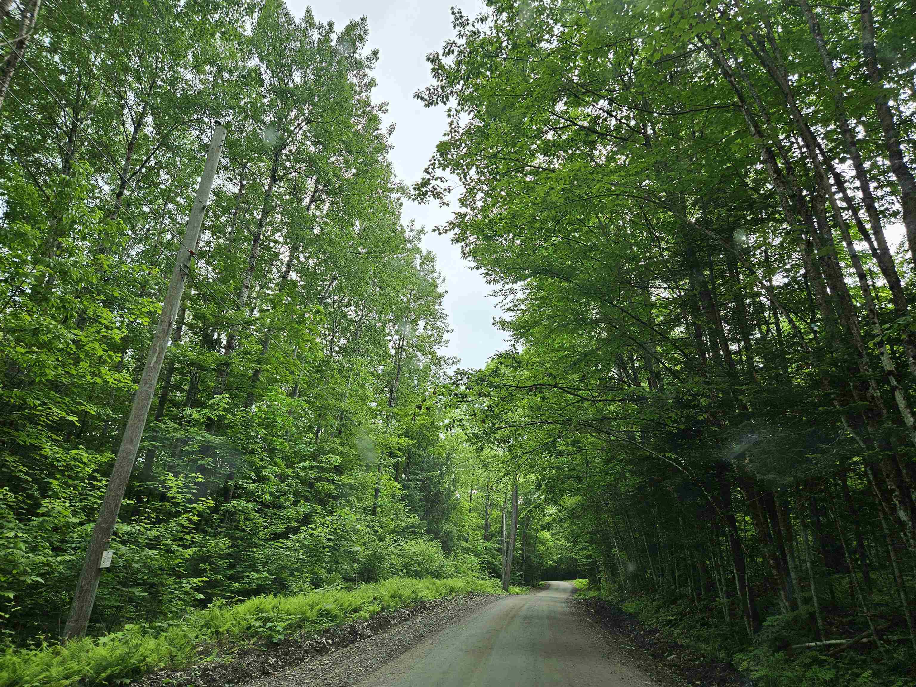 Property Photo:  Lot 90 Faraway Road  NH 03598 