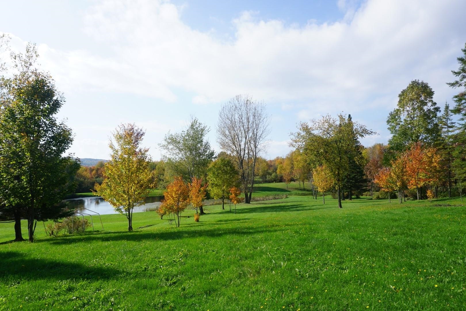 Property Photo:  00 Chapin Road  VT 05494 