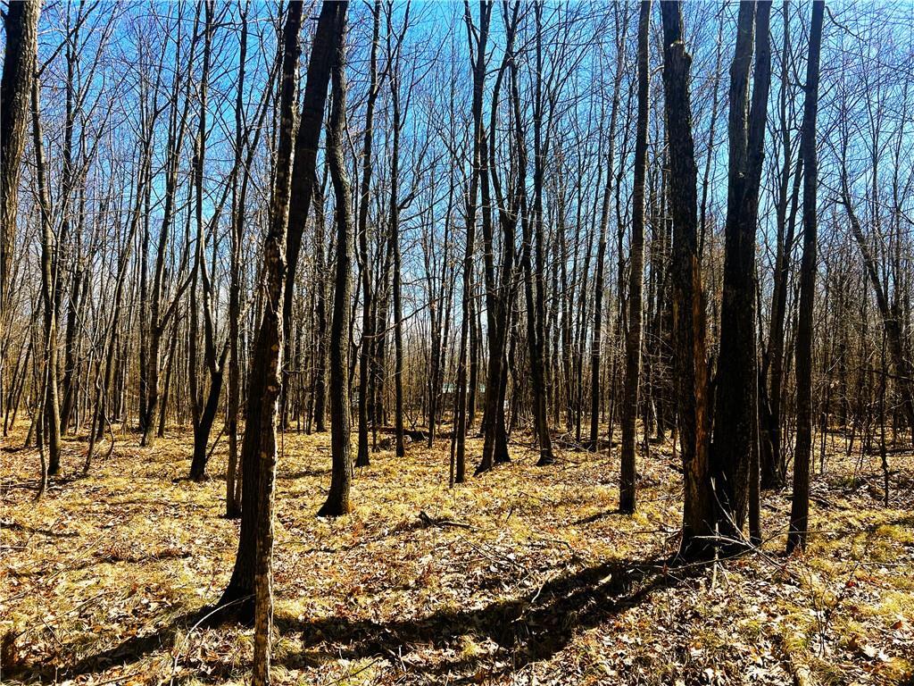 5 Acres On Broken Arrow Road  Conrath WI 54731 photo