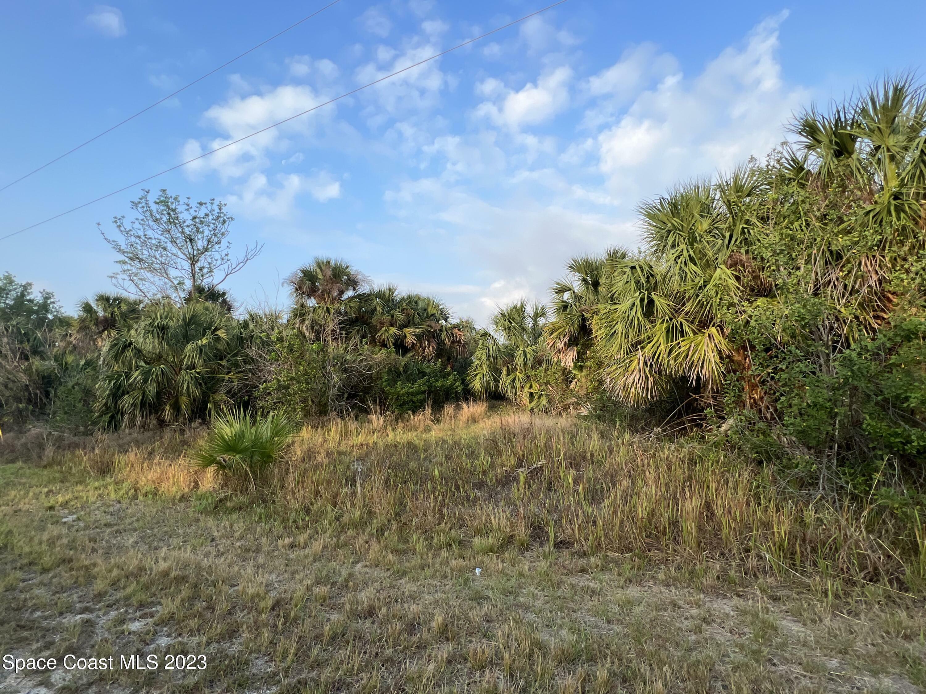 2044 Alwar Avenue  Palm Bay FL 32908 photo
