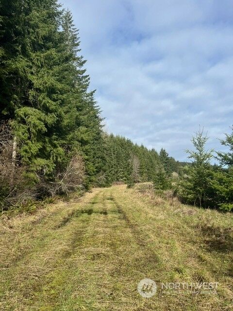 Property Photo:  240 X Pe Ell McDonald Road  WA 98532 