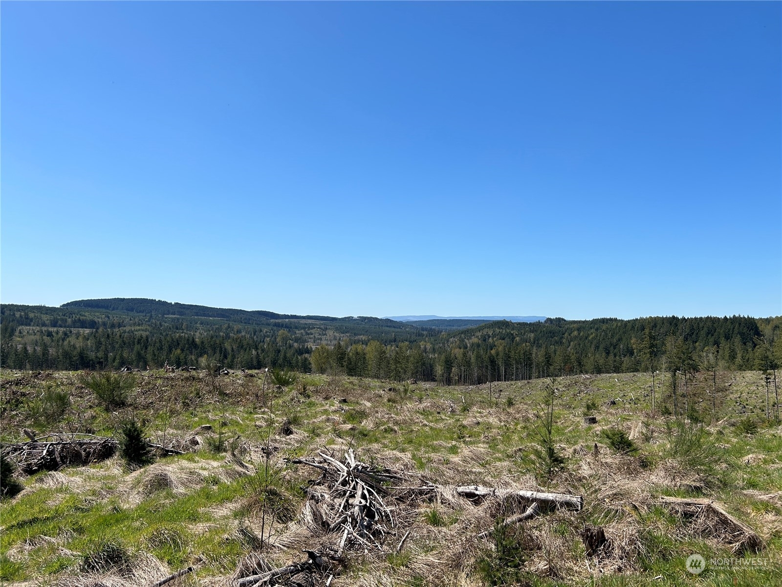 Property Photo:  0 Nka Cedar Creek Road  WA 98651 