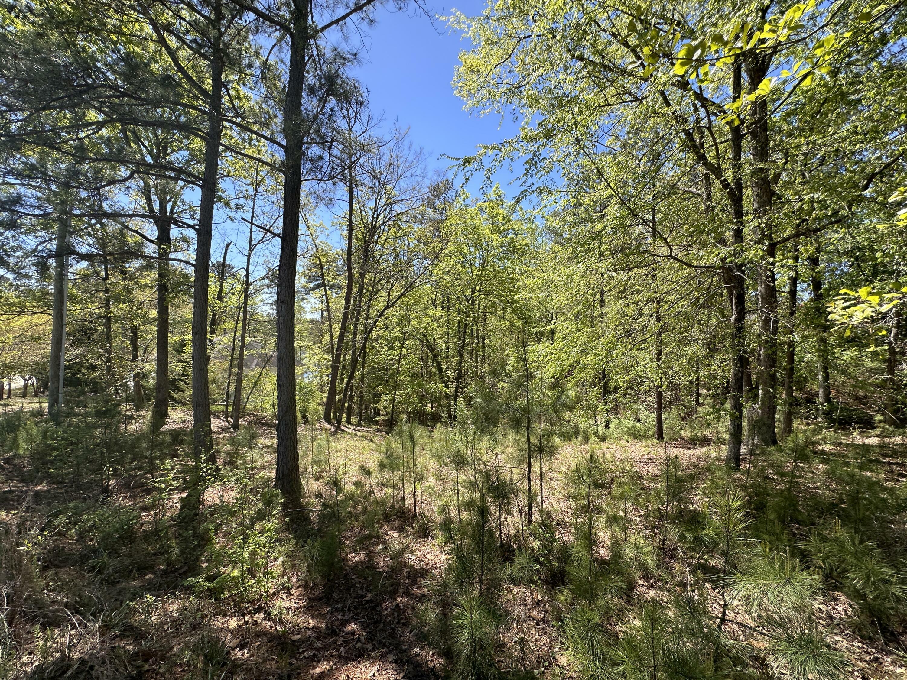 Property Photo: 180 Stuart SC 29838