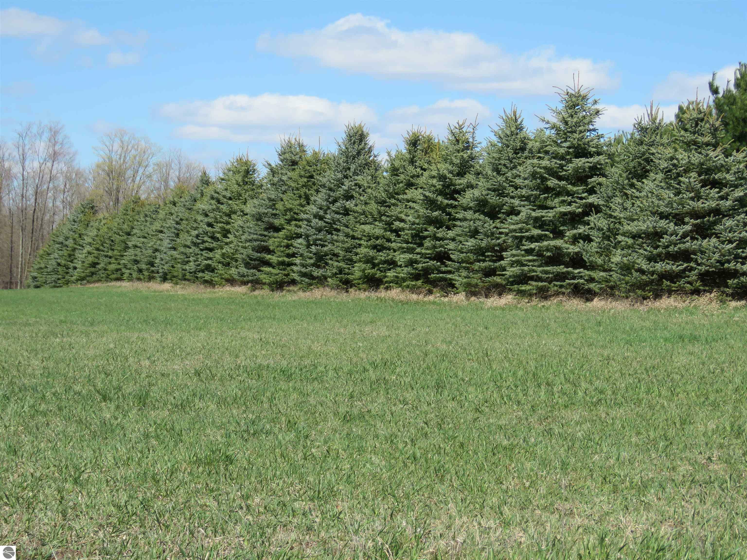 Property Photo:  00 22 Mile Road  MI 49688 