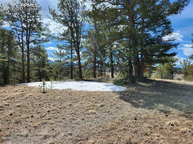 Property Photo:  Lot 1 Highway 24  CO 80814 