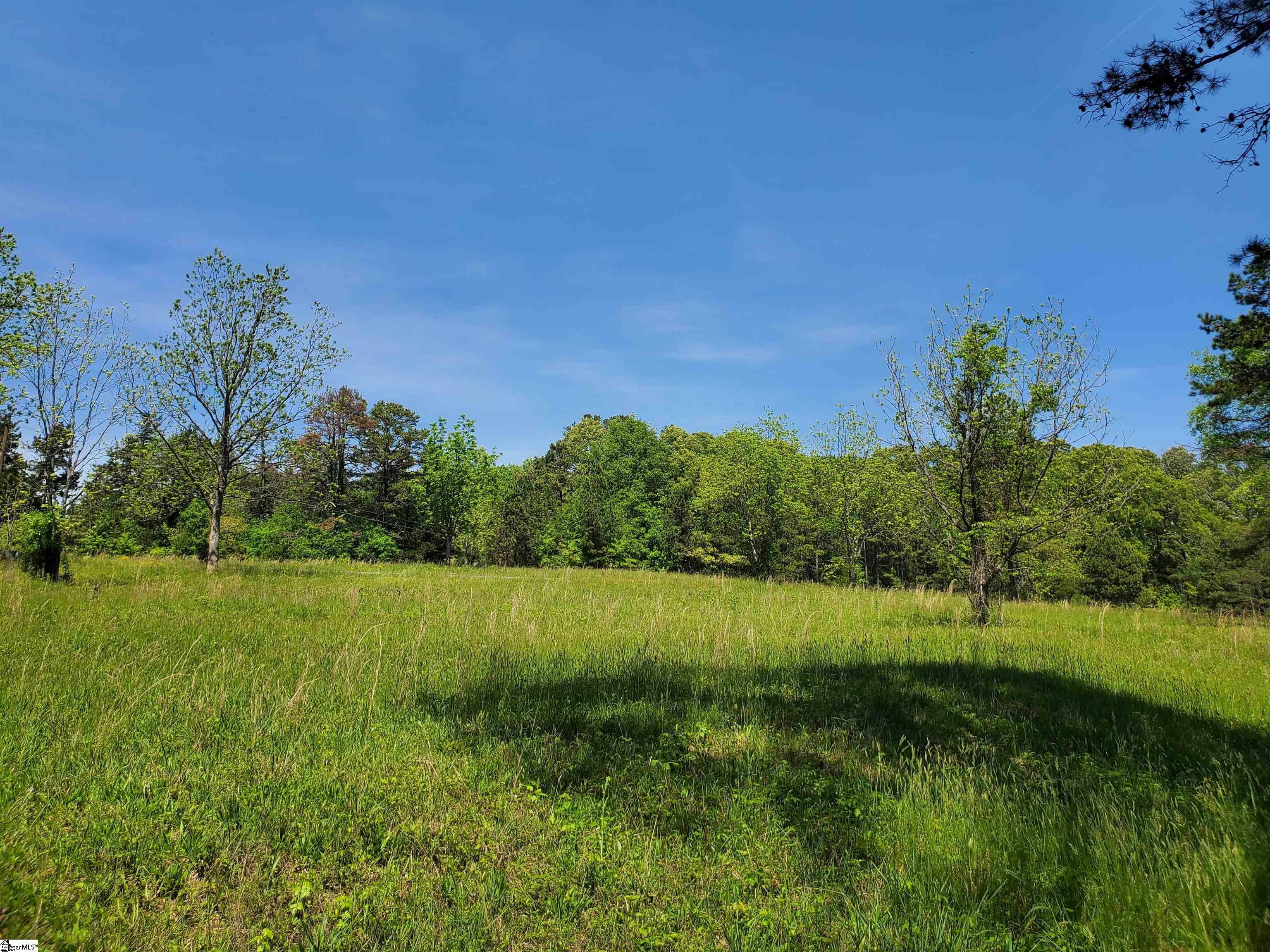 Property Photo: 0 Catalan Court Lot 5 SC 29644