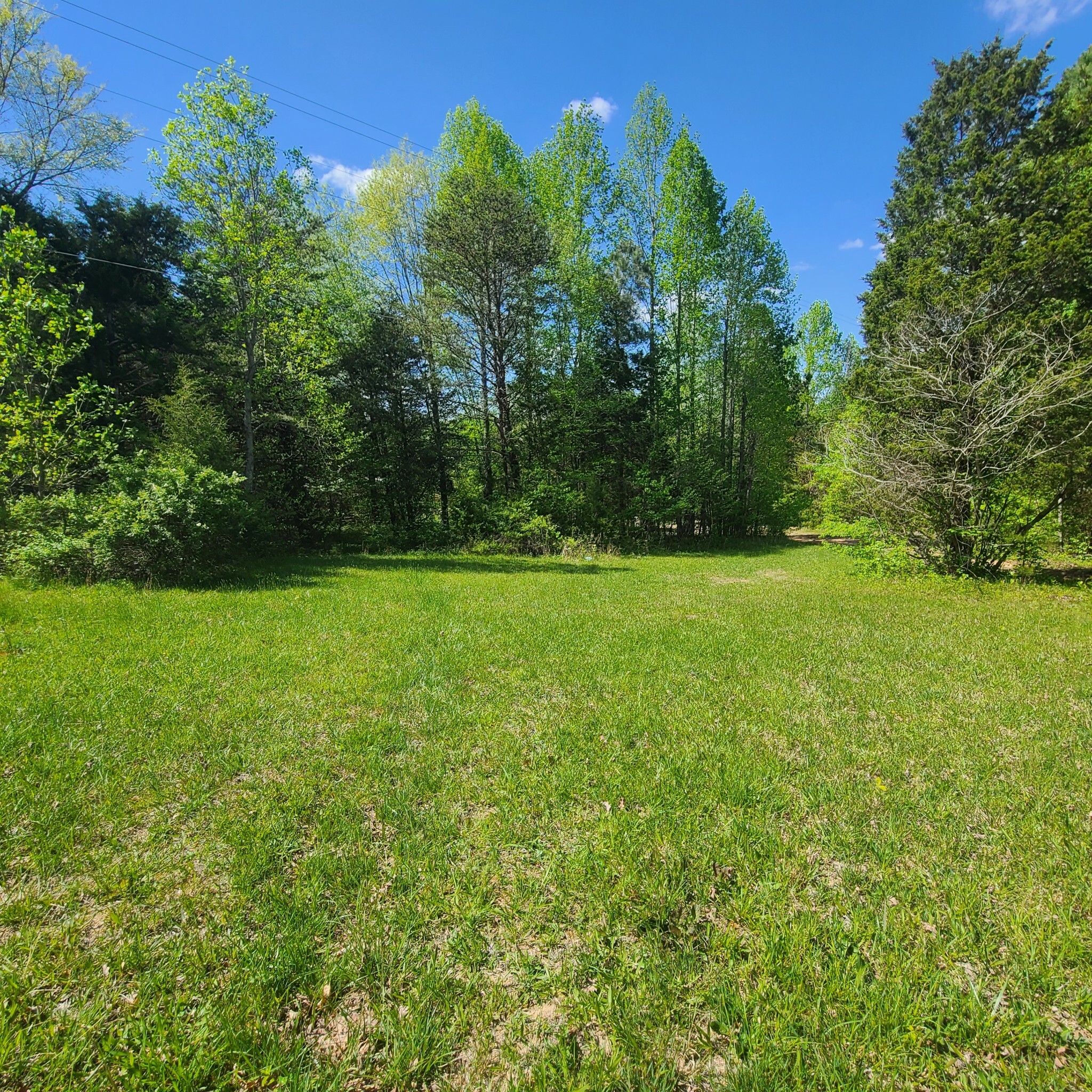 Property Photo:  2065 Spring Creek Rd  TN 37083 