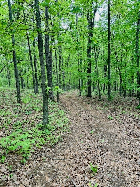 Property Photo:  Tract D Madison Cr 5450  AR 72727 