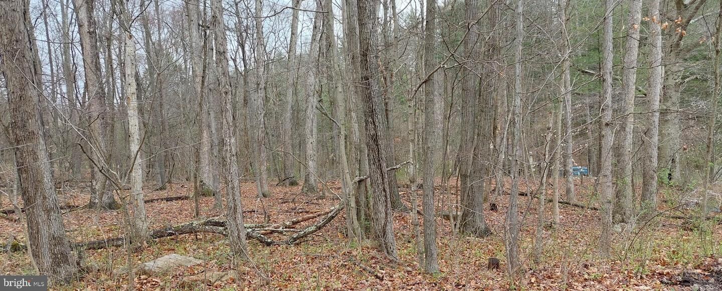 Property Photo: Shadoe Hollow Rd NE Shadoe Hollow Rd NE MD 21502