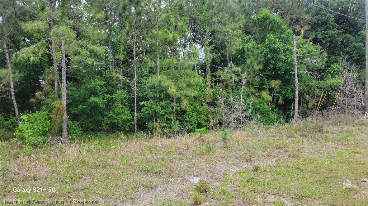 Property Photo:  Jasmine Street  FL 33852 