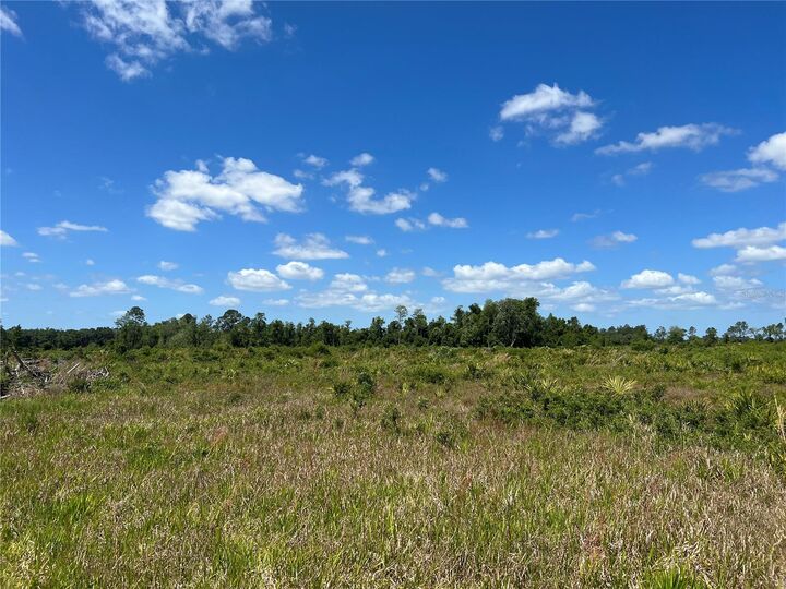 Property Photo: Hwy 40 FL 34430